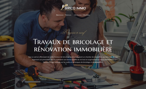 https://www.brico-immo.com