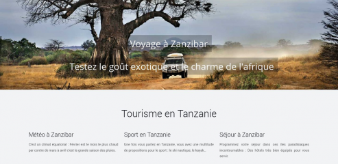 https://www.tanzanie-zanzibar.com