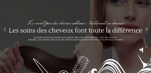 https://www.sos-cheveux.fr